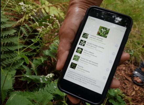 e-Commerce Platforms