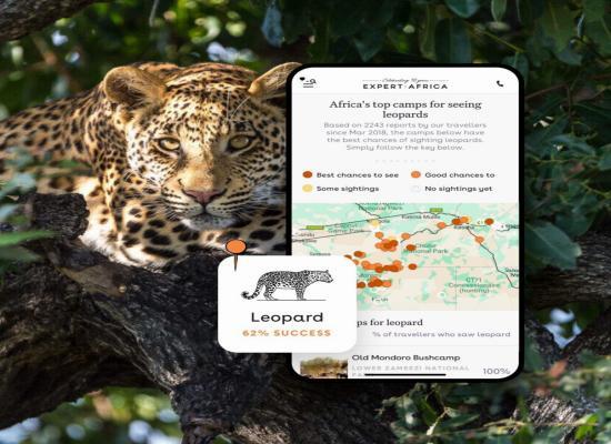 Travel & Hospitality Apps