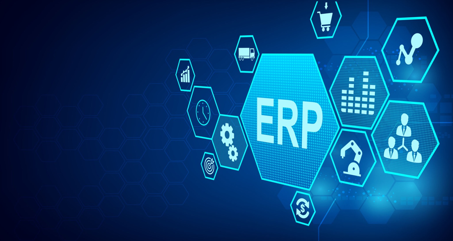 ERP Development Services